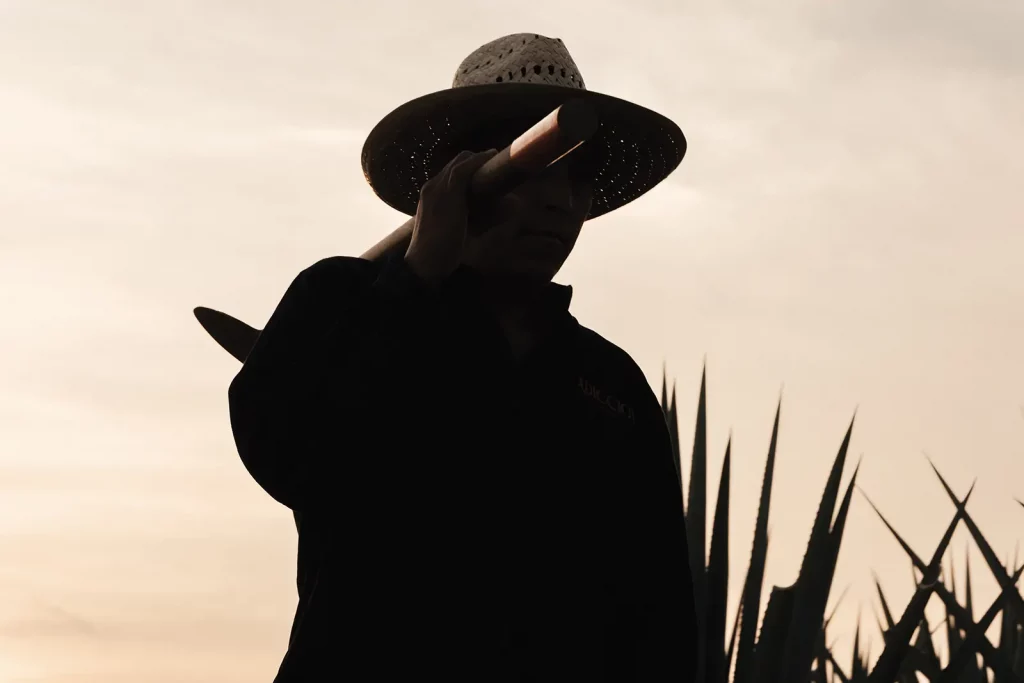 ADICCIŌN TEQUILA Blanco, Reposado, Añejo, Añejo Reserva Especial Platino Extra Añejo, Mezcal