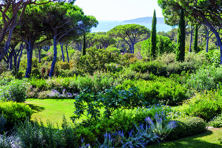 SAINT-TROPEZ PARCS & JARDINS