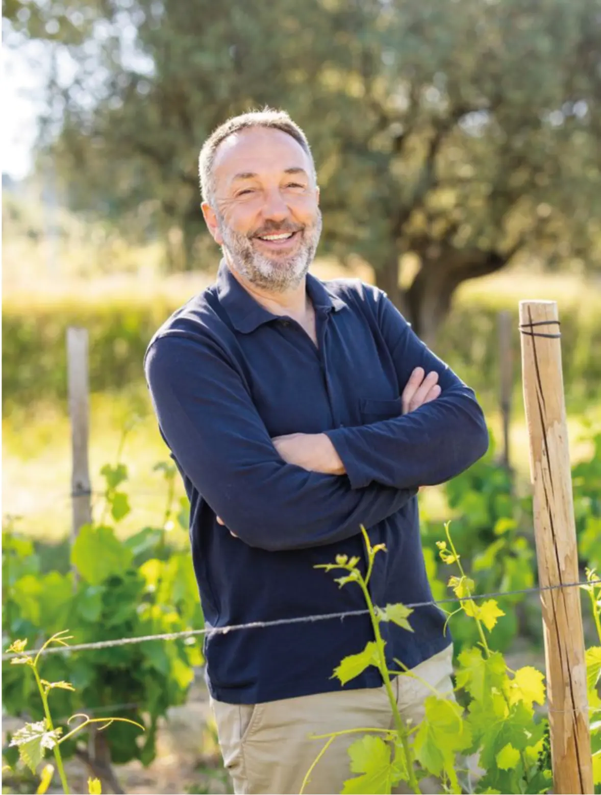 Vignobles